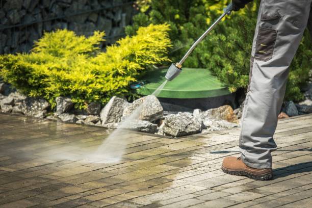 Best Animal Enclosure Cleaning  in Lincoln Park, MI