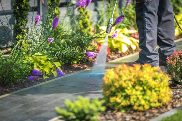 Best Post-Construction Pressure Washing  in Lincoln Park, MI