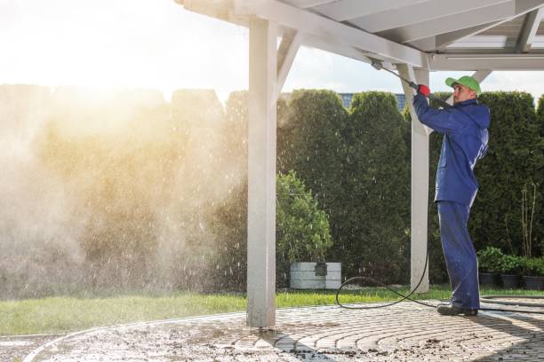 Best Building Exterior Washing  in Lincoln Park, MI
