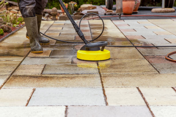 Animal Enclosure Cleaning in Lincoln Park, MI